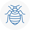 Bed Bug Extermination In Highams Park