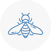 Bee Nest Removal Highams Park