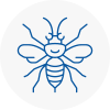 Highams Park Hornet Nest Removals