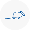 Mice Exterminators In Highams Park