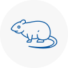 Rat Control Highams Park