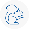 Highams Park Rodent Removals
