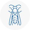 Highams Park Wasp Nest Removal